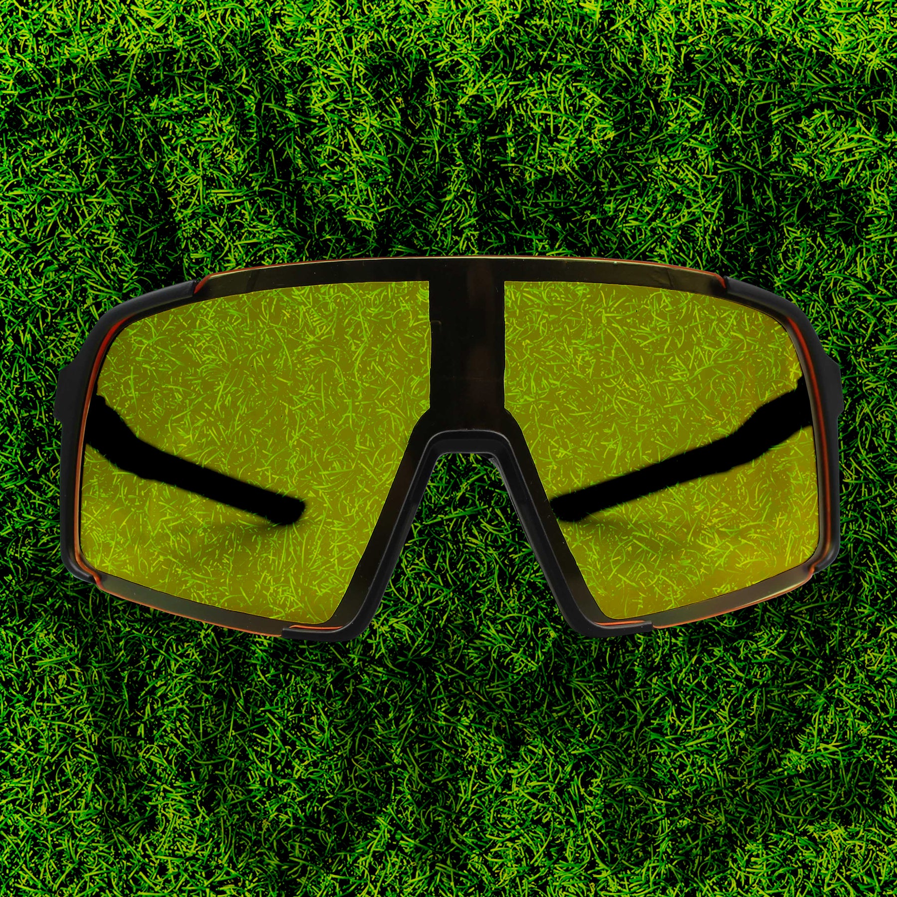 Turf Tomz